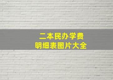 二本民办学费明细表图片大全