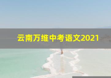 云南万维中考语文2021