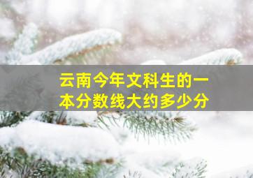 云南今年文科生的一本分数线大约多少分