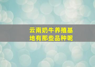 云南奶牛养殖基地有那些品种呢