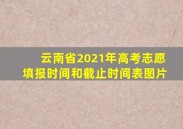 云南省2021年高考志愿填报时间和截止时间表图片