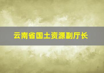 云南省国土资源副厅长