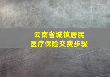 云南省城镇居民医疗保险交费步骤