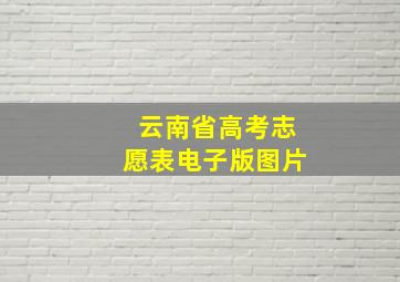 云南省高考志愿表电子版图片