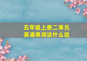 五年级上册二单元英语单词这什么说