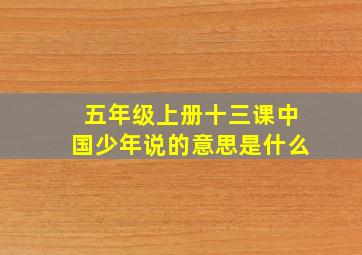 五年级上册十三课中国少年说的意思是什么