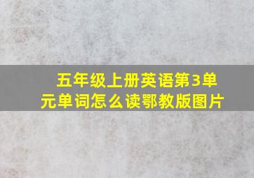 五年级上册英语第3单元单词怎么读鄂教版图片