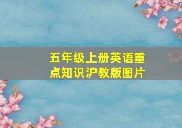 五年级上册英语重点知识沪教版图片