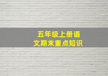 五年级上册语文期末重点知识