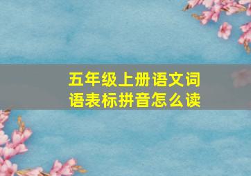 五年级上册语文词语表标拼音怎么读