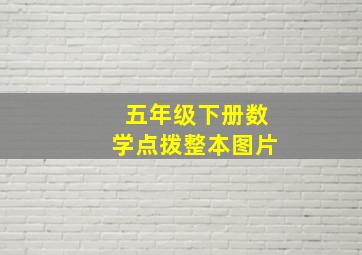 五年级下册数学点拨整本图片