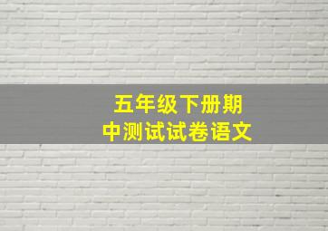 五年级下册期中测试试卷语文