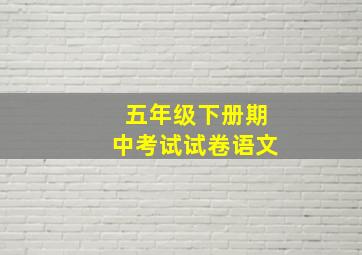 五年级下册期中考试试卷语文