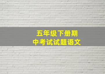 五年级下册期中考试试题语文