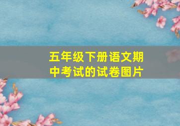 五年级下册语文期中考试的试卷图片