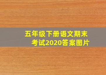 五年级下册语文期末考试2020答案图片