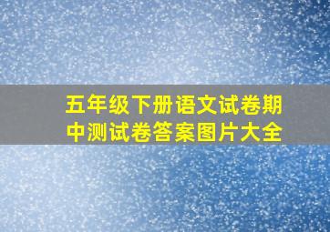 五年级下册语文试卷期中测试卷答案图片大全