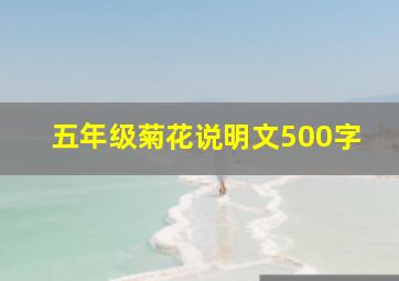 五年级菊花说明文500字