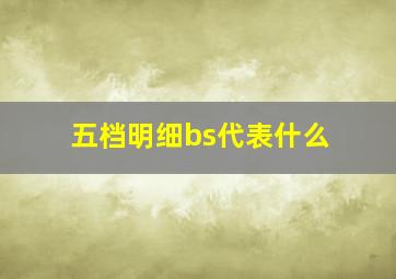 五档明细bs代表什么