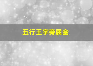 五行王字旁属金