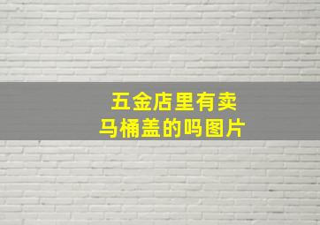 五金店里有卖马桶盖的吗图片