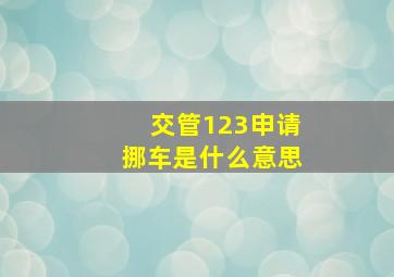 交管123申请挪车是什么意思