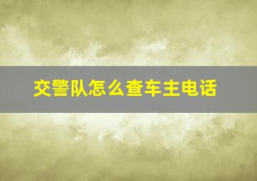 交警队怎么查车主电话