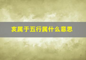 亥属于五行属什么意思