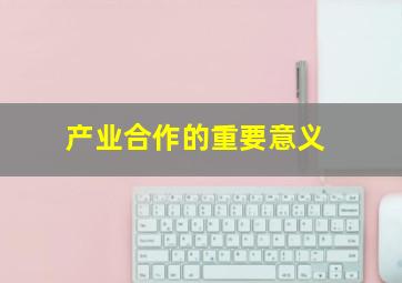 产业合作的重要意义