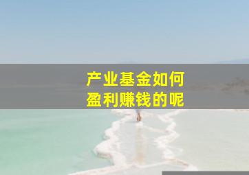 产业基金如何盈利赚钱的呢