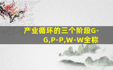 产业循环的三个阶段G-G,P-P,W-W全称