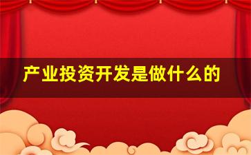 产业投资开发是做什么的