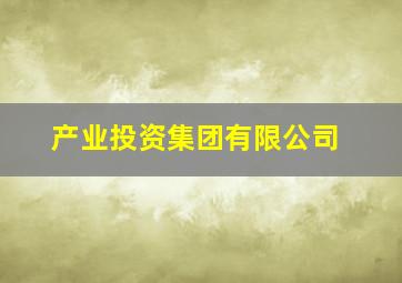 产业投资集团有限公司