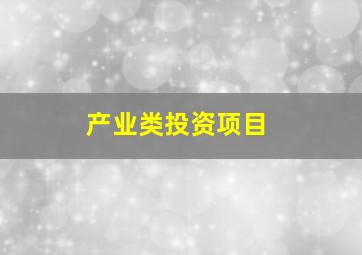 产业类投资项目