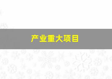 产业重大项目