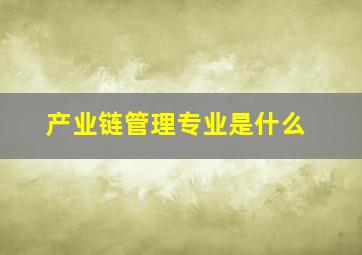 产业链管理专业是什么