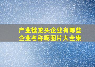 产业链龙头企业有哪些企业名称呢图片大全集