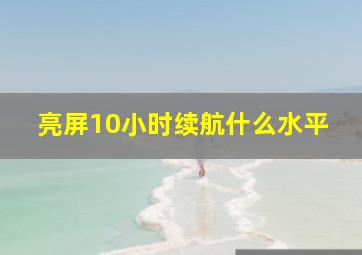 亮屏10小时续航什么水平