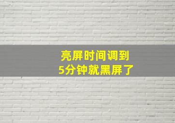 亮屏时间调到5分钟就黑屏了