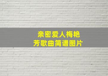 亲密爱人梅艳芳歌曲简谱图片