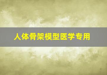 人体骨架模型医学专用