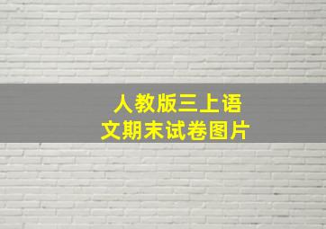 人教版三上语文期末试卷图片