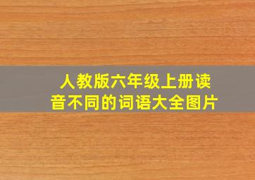 人教版六年级上册读音不同的词语大全图片