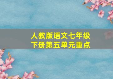 人教版语文七年级下册第五单元重点