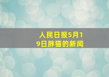 人民日报5月19日胖猫的新闻