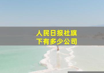 人民日报社旗下有多少公司