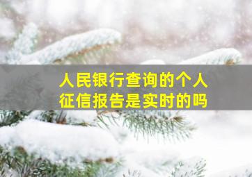 人民银行查询的个人征信报告是实时的吗