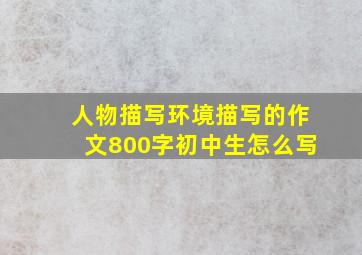 人物描写环境描写的作文800字初中生怎么写