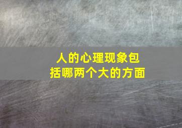 人的心理现象包括哪两个大的方面