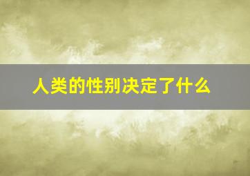 人类的性别决定了什么